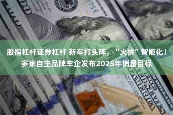 股指杠杆证券杠杆 新车打头阵，“火拼”智能化！多家自主品牌车企发布2025年销量目标