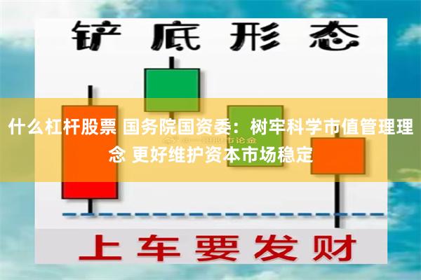 什么杠杆股票 国务院国资委：树牢科学市值管理理念 更好维护资本市场稳定