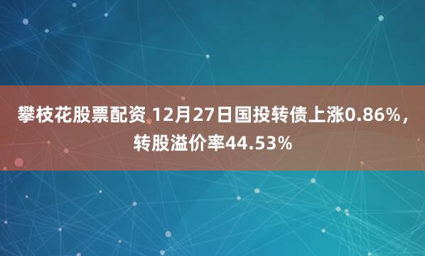 攀枝花股票配资 12月27日国投转债上涨0.86%，转股溢价率44.53%