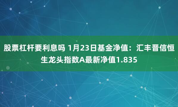 股票杠杆要利息吗 1月23日基金净值：汇丰晋信恒生龙头指数A最新净值1.835