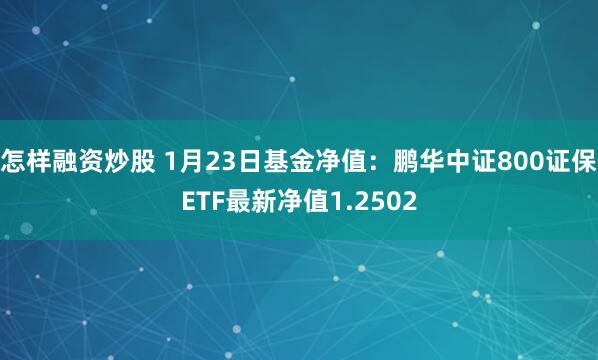 怎样融资炒股 1月23日基金净值：鹏华中证800证保ETF最新净值1.2502